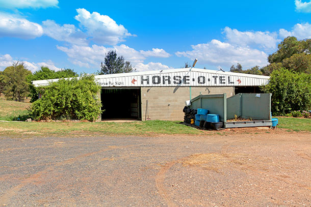 Tarcutta Half Way Inn offers full stable facilities